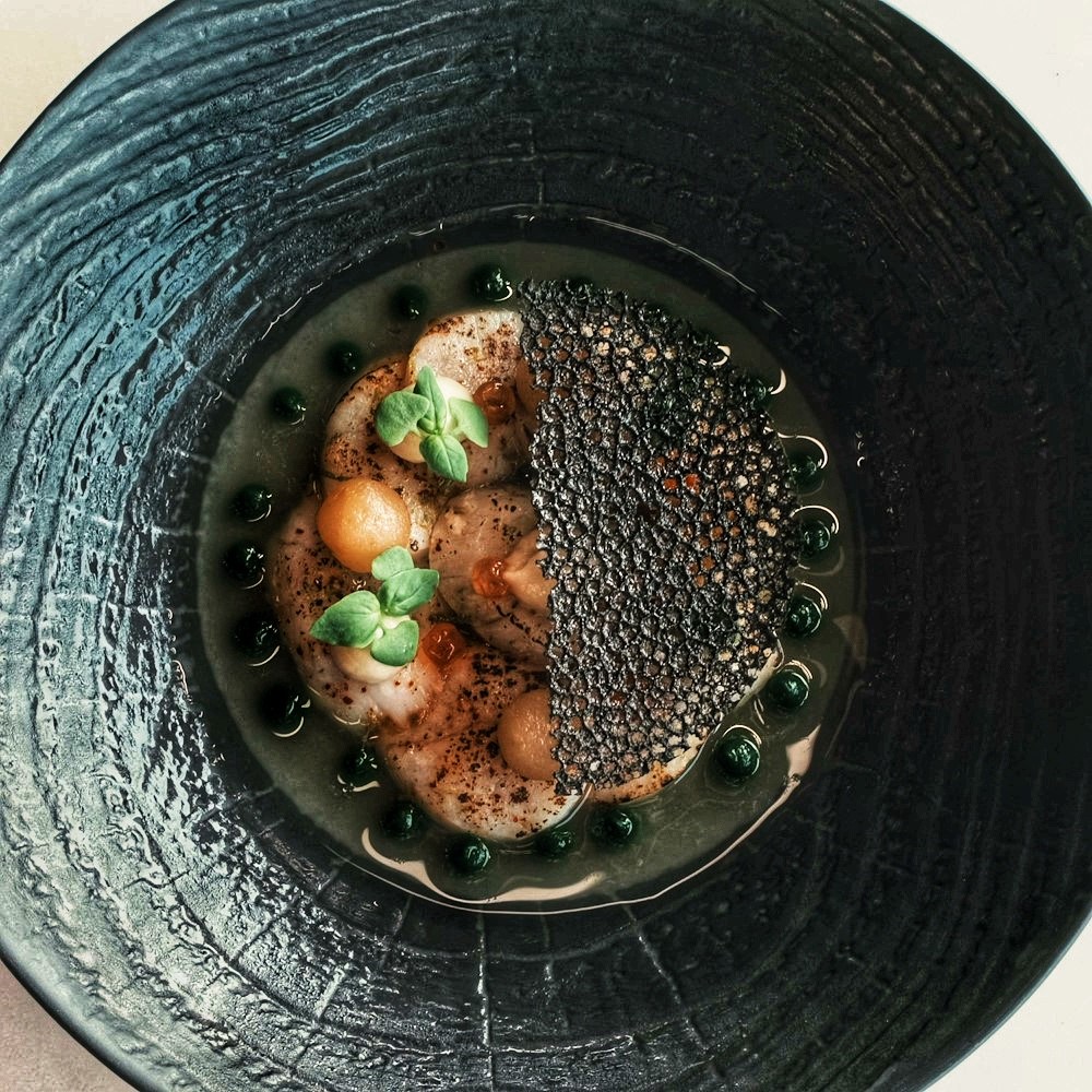 M Fusion dish 02 2592a